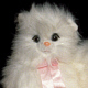 White fluffy cat on a pink cushion