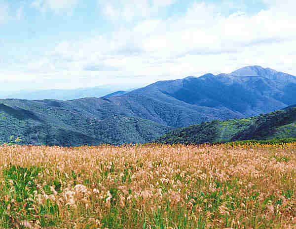 Falls Creek