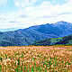 Falls Creek - skiing resort - Victoria - Australia