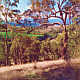 Goulburn River Valley  - Australia - Victoria