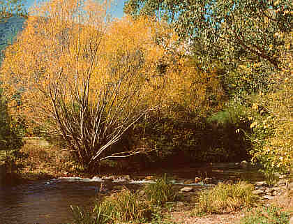 King River - a sandy and rocky spot - good for picnics.