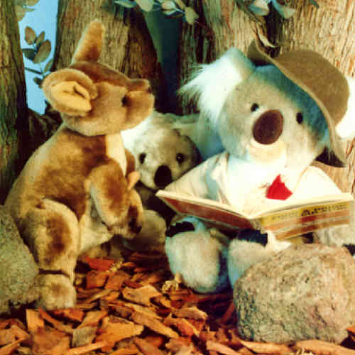 Koala and Kangaroo - still life set-up