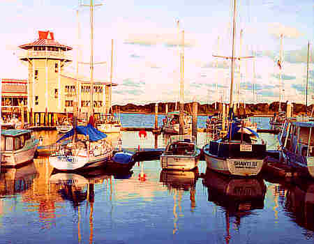 Maroochydore - Sunshine Coast - Queensland