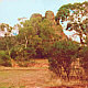 Mount Arapiles - Australia - Victoria