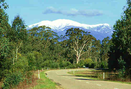 Mount Bogong in the Victorian Alps