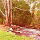 Ovens River - Bright - Victoria
