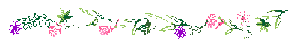 decorative border