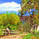 Trout Fishing  - Myrtleford - Victoria